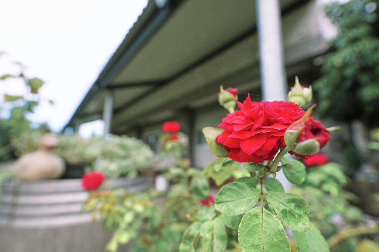 Taitung City-Cottage B&B Bagian luar foto