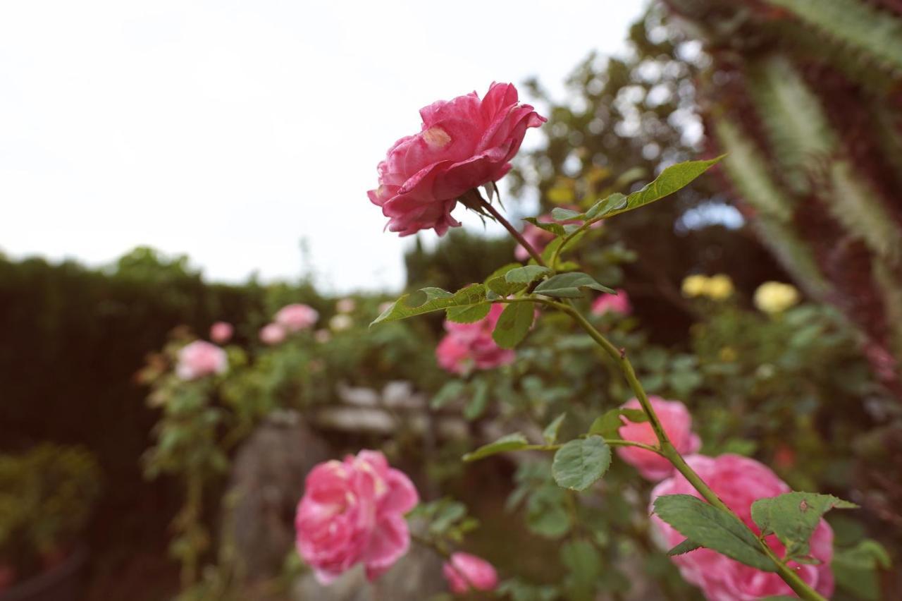 Taitung City-Cottage B&B Bagian luar foto